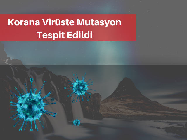 İzlandalı bilim insanları yeni bir keşifte bulundu. 